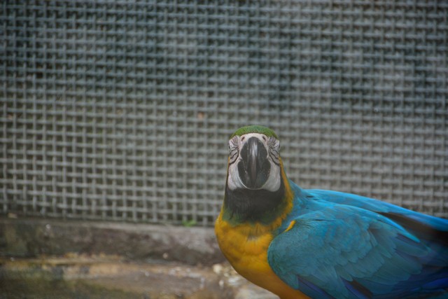 20150326 - Rome - 243